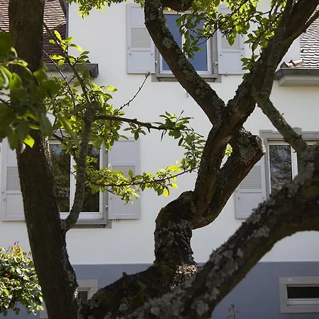 Penzion Ravissant 3p 90m2 Au Calme, Proche Du Parlement Europeen Štrasburk